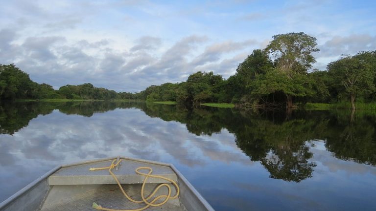 Seis curiosidades desconocidas sobre La Amazonía