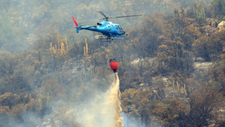 Empresa de helicópteros se suma para combatir incendios forestales en Chile