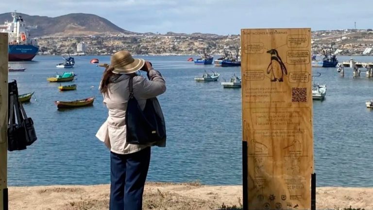 Se inaugura circuito científico que busca acercar las ciencias del mar a visitantes de Coquimbo