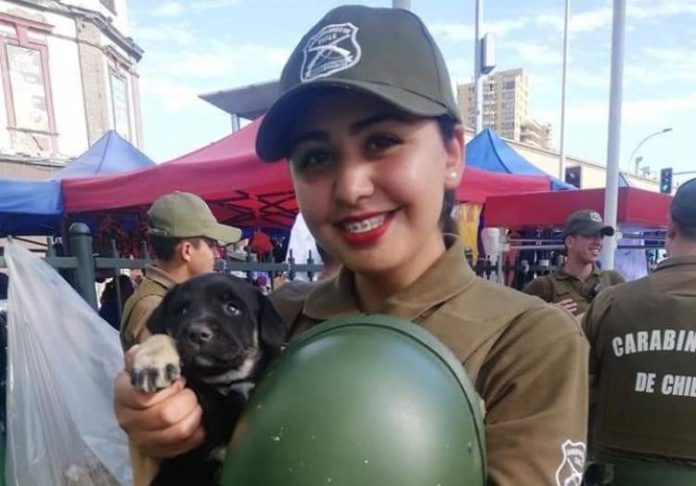 image_750x_5f5b808e39dab