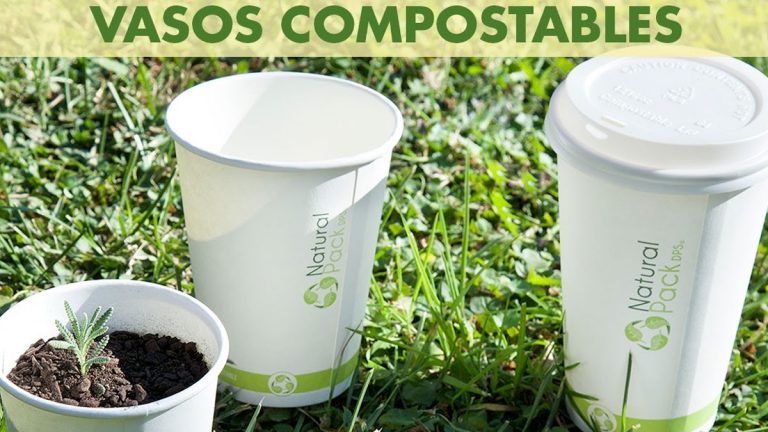Del delivery a la tierra: Vasos “compostables” pueden convertirse en tu próximo huerto