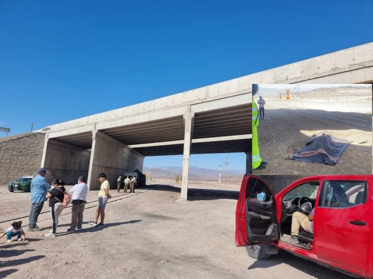 Gobierno paralizado por crisis migratoria: Inmigrantes venezolanos ilegales asesinan a camionero en Antofagasta y se enciende una peligrosa espiral antiinmigrantes
