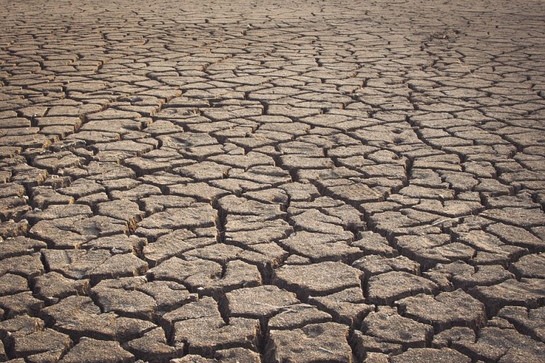 Senador Pugh hace un llamado urgente para ahorrar agua y tomarse en serio la sequía
