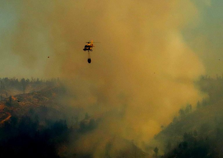 ONU advierte peligro efecto calentamiento global: Incendios forestales aumentarán 30% para 2050 y 50% para fin de siglo