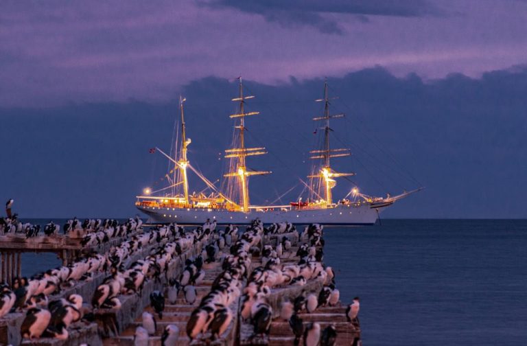 Arribaron a Punta Arenas los buques de Velas Sudamérica 2022