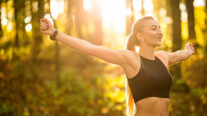 archivo infogate web-5-2