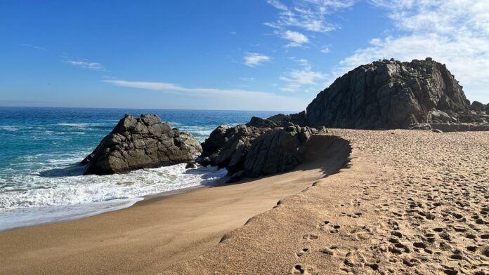 PLAYAALGARROBO26JUNIO22