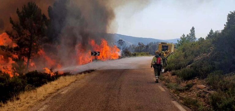 Devastadores incendios forestales en Francia, España y Portugal
