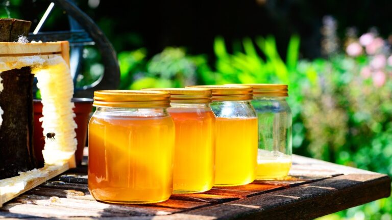 Los 200 componentes nutritivos que contiene la miel