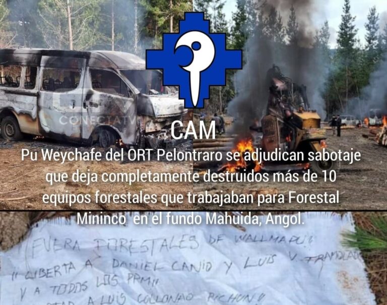 CAM no da tregua y deja en jaque Estado de Excepción: Reivindican quema de más de 12 vehículos de Forestal Mininco