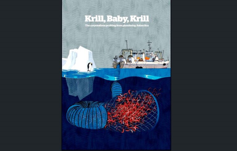 Alerta Ambiental: Changing Markets Foundation denuncia saqueo del krill en la Antártica