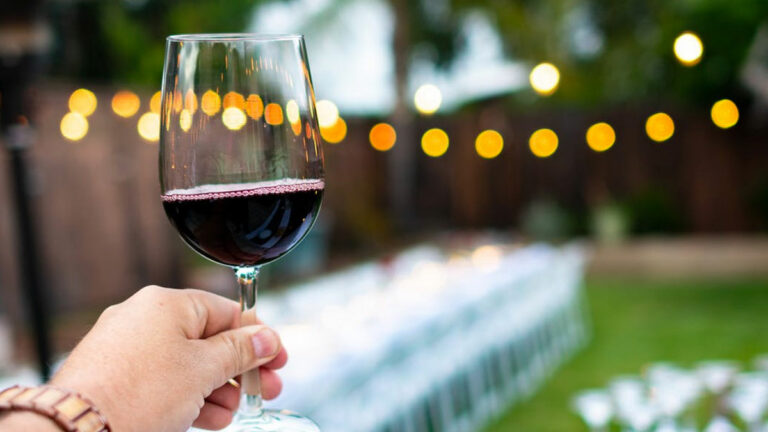 Celebra el Día del Vino 2022 con gran fiesta en Providencia el 20 y 21 de agosto