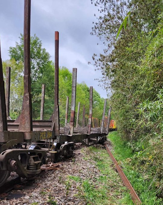 Investigan descarrilamiento de tren cargado con madera en Máfil