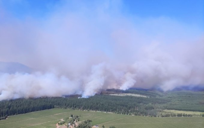 Onemi reporta 21 incendios forestales en el país, 10 de ellos controlados y 1 extinguido
