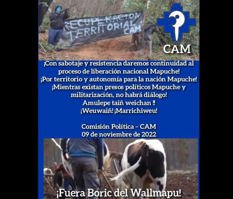 CAM llaman a “repudiar” y “combatir” visita de Pdte. Boric a La Araucanía y le dicen “fuera del wallmapu”