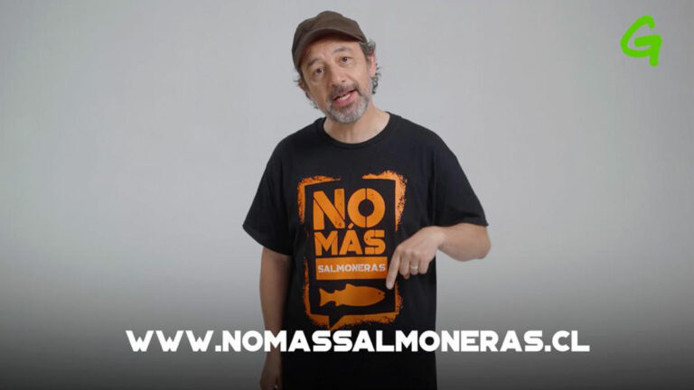 Figuras públicas se unen a la campaña de Greenpeace por frenar el avance salmonero en la Patagonia chilena