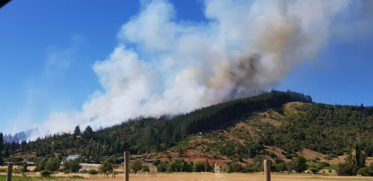 Onemi cancela Alerta Roja y la baja a Amarilla en incendio forestal que afecta a Romeral y Curicó