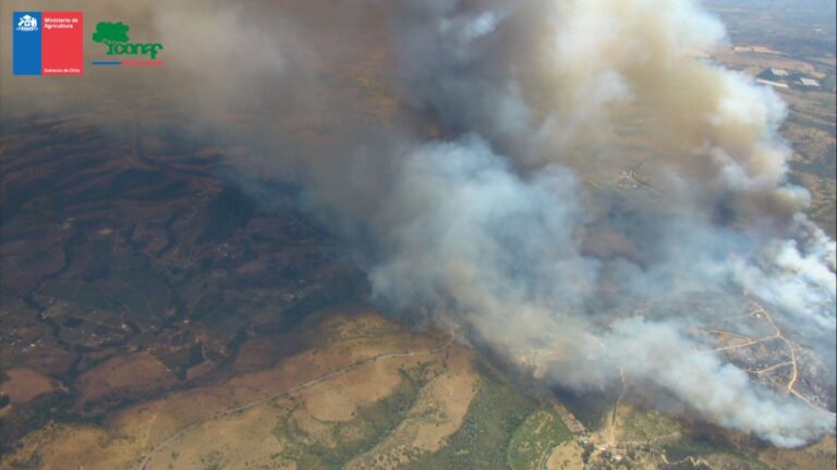 Onemi pide evacuar 4 zonas de Santo Domingo ante avance de incendio forestal