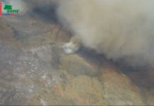 Conaf reporta 55 incendios en todo el país, 6 de ellos en combate, 47 controlados y dos extinguidos