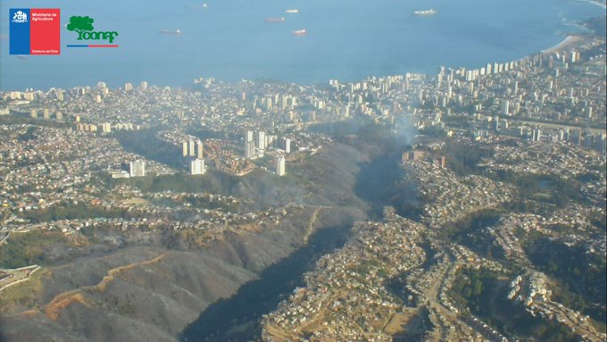 Onemi cifra en 270 las viviendas afectadas por mega incendio en Viña del Mar