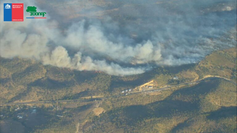 Onemi reporta 61 incendios forestales en el país y se registra un muerto en Melipilla