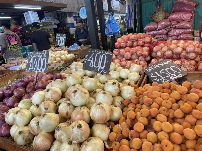 precios cebollas vegacentral23diciembre22