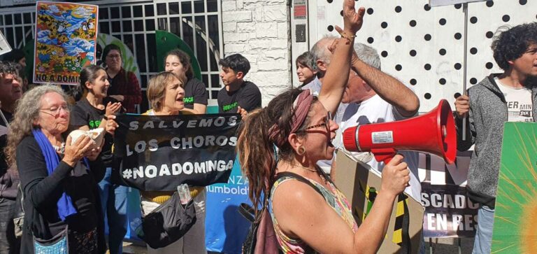 No a Dominga: Habitantes de La Higuera y agrupaciones ambientales, protestan afuera del Ministerio de Medioambiente
