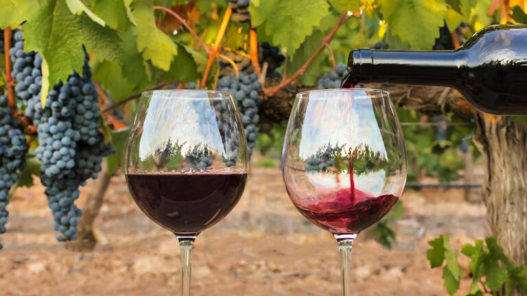 ¿Cómo el sector vitivinícola gestiona su última milla?
