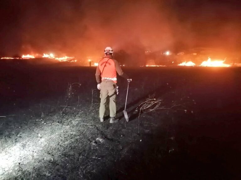 Senapred mantiene la Alerta Roja para las comunas de Chillán y Chillán Viejo por incendio forestal
