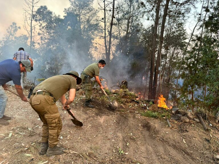 Balance de Carabineros por incendios forestales muestra 218 conducidos, 11.839 salvoconductos por combustible y se mantiene cifra de detenidos