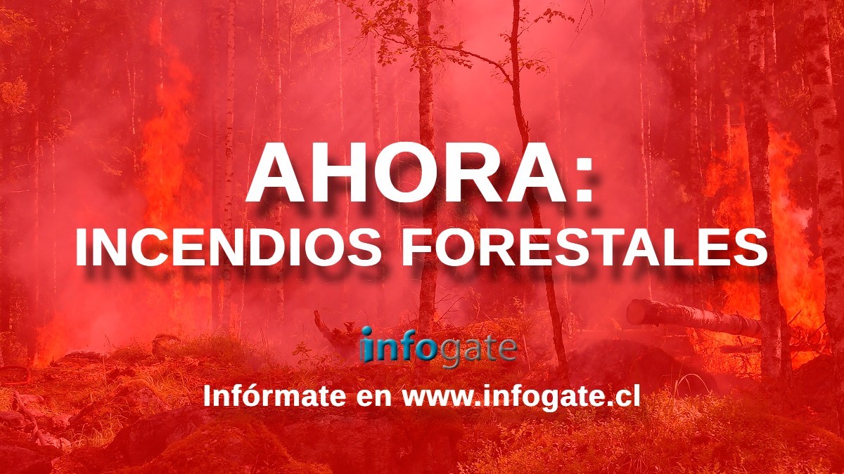 Incendios Forestales No Dan Tregua Ahora Se Debe Evacuar Sector