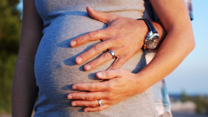 archivo infogate web-5-2-23-11