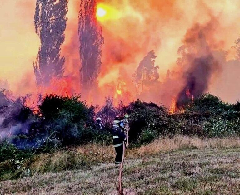 En medio de la tragedia por los Incendios Forestales parlamentarios -tan locuaces y estridentes- brillan por su ausencia