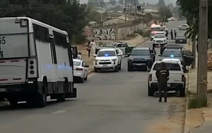 Screenshot_2023-03-26-14-10-53-136_com.twitter.android_2