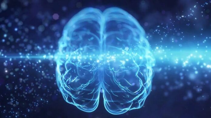 archivo infogate web-5-2-23-12