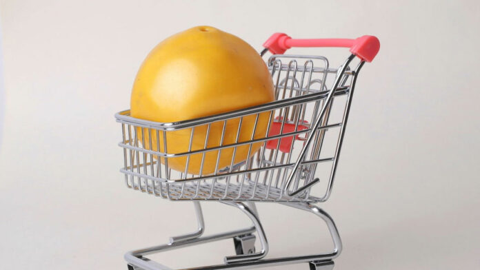 emprendimiento230301