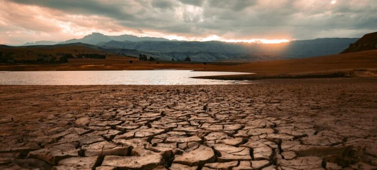 Cambio climático: Sequía afecta 3 millones de hectáreas de tierras de cultivo en China