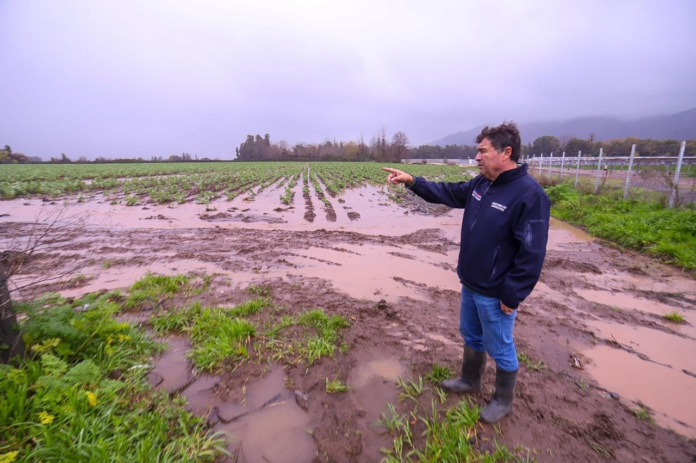 imagen_2023-08-23_102002489