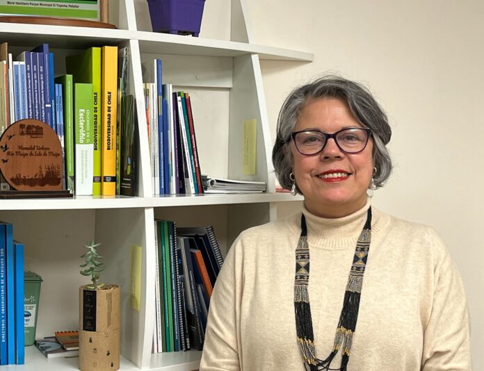 seremi mmfoto oficia