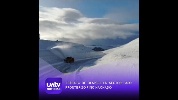 PASO PINOHACHADO12SEPT 2023