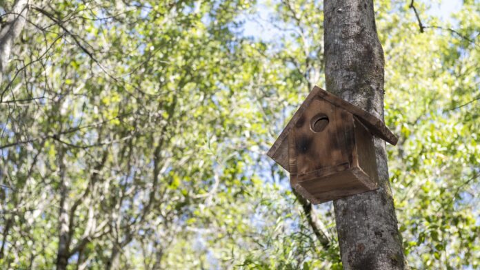 archivo infogate web-5-2-34-18