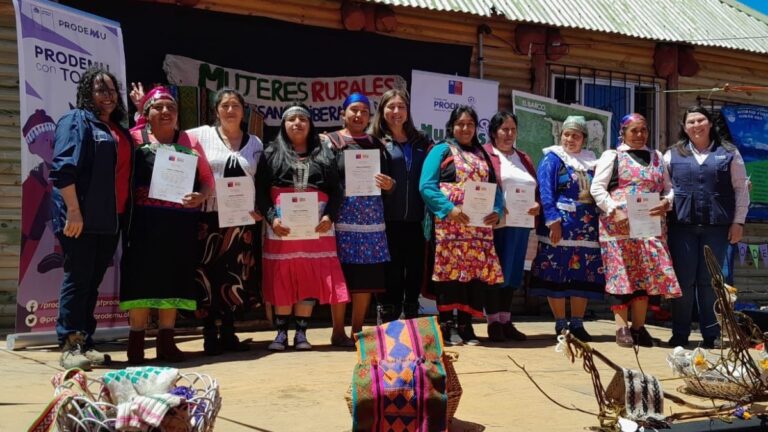 Artesanas de Alto Biobío egresan del programa “Mujeres Rurales” de INDAP-Prodemu