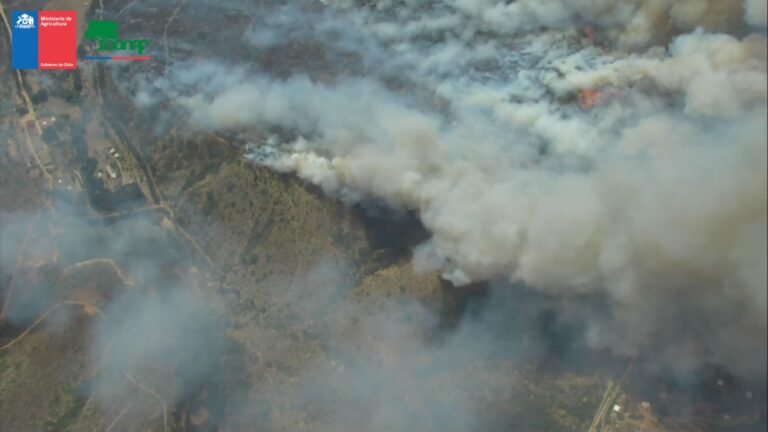 Senapred declara Alerta Roja para comunas de Limache y Villa Alemana por incendios forestales