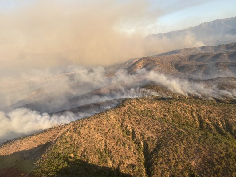 Incendios forestales en Villa Alemana y Limache dejan 20 viviendas afectadas y 374 evacuados