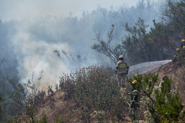 Balance de incendios forestales: Tres Alertas Rojas, un fallecido, ocho lesionados y 13 viviendas afectadas
