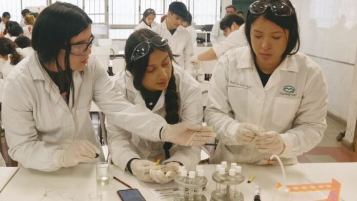 archivo infogate web-5-2-13-52