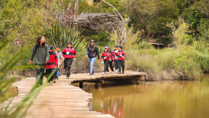 archivo infogate web-5-2-34-39