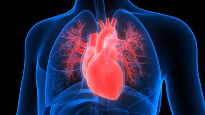 archivo infogate web-5-2-34-47