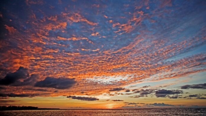 archivo infogate web-5-2-34-6