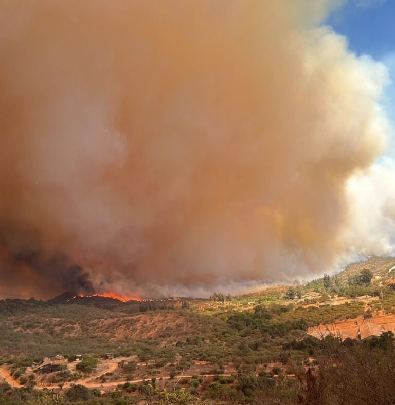 Bomberos de Viña del Mar se acuartela y Senapred pide evacuar sectores de Villa Alemana por incendios forestales
